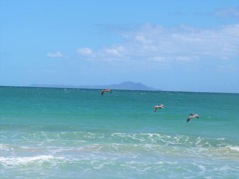 Beachfront Getaway For Two! 우마카오 외부 사진